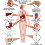 10 Effects of alcohol on the body