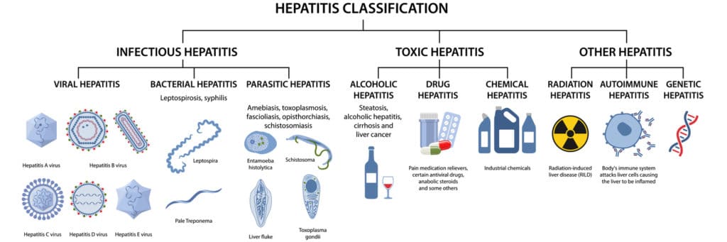 types of hepatitis
