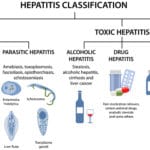Types of hepatitis