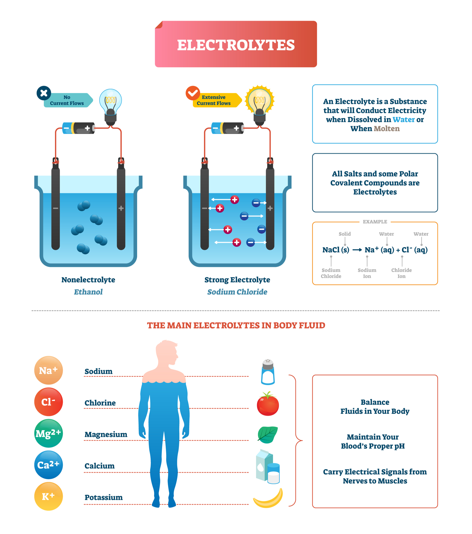 why electrolytes are important